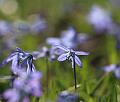 IMG_2257 aaa